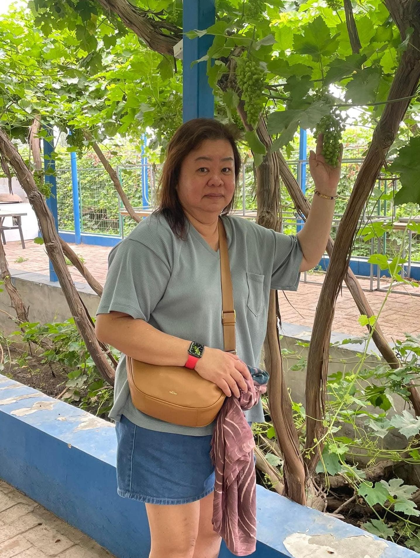 Woman in a blue shirt touches a bunch of green grapes on a vine.